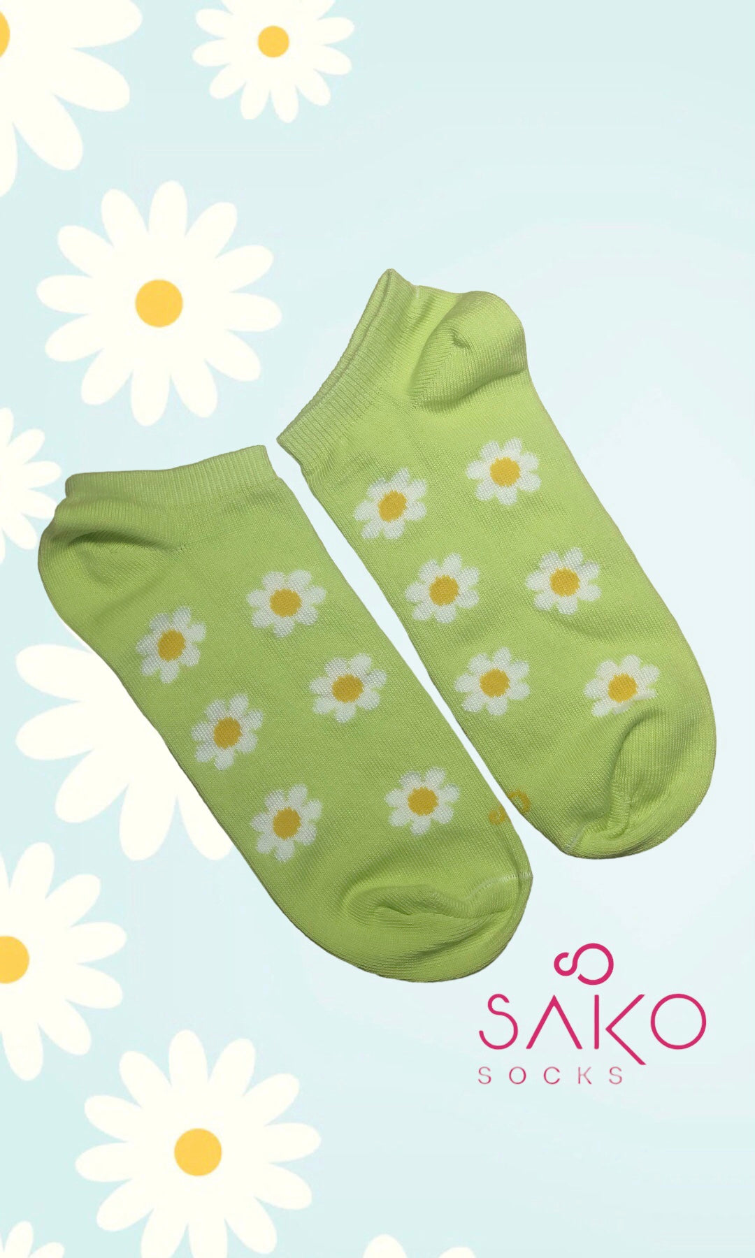 Daisy Kiwi