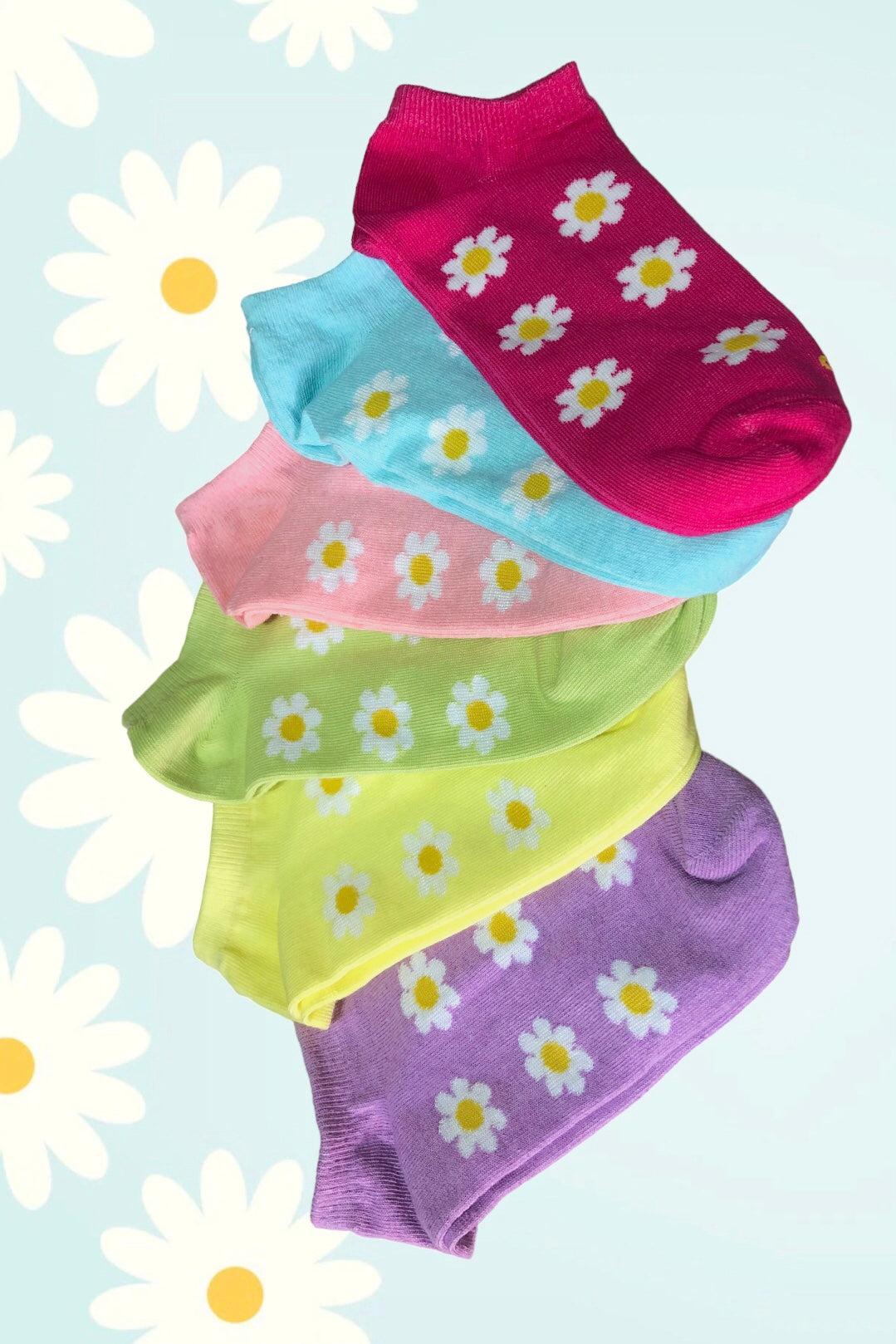 Daisy-Box of 6