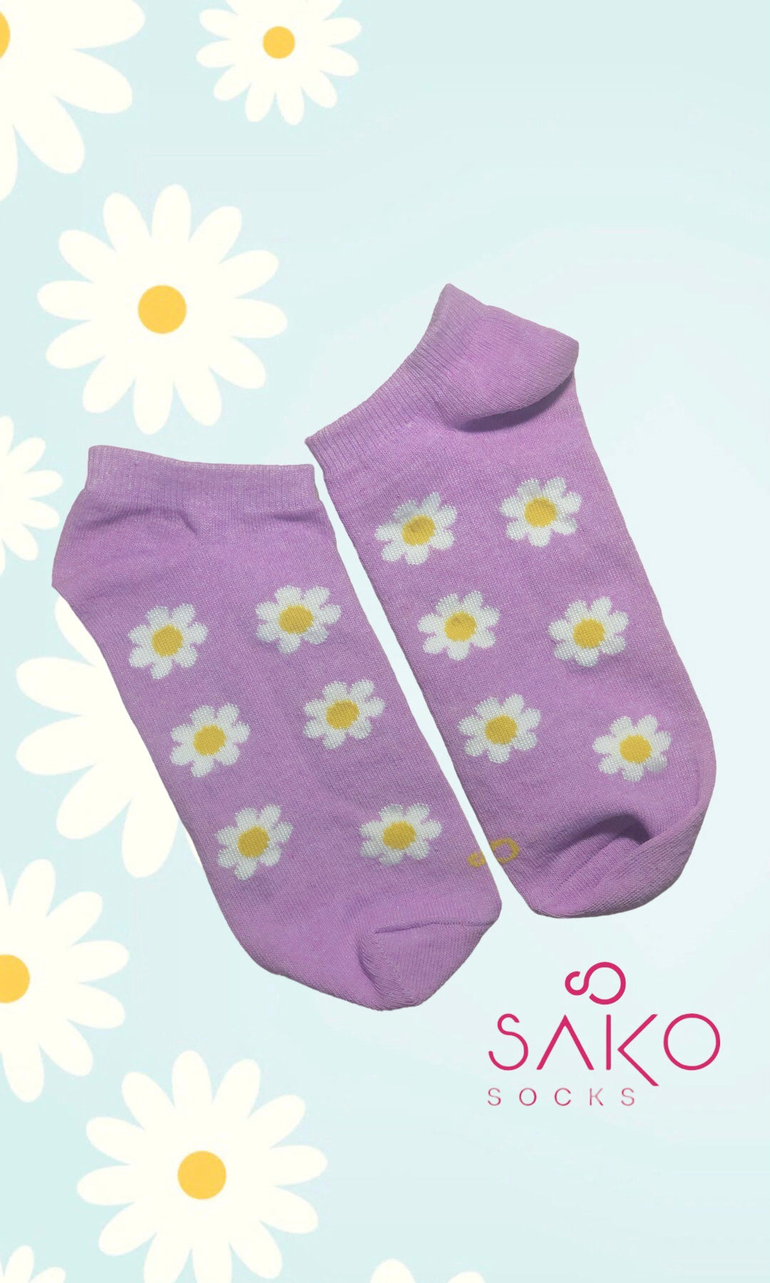 Daisy Purple